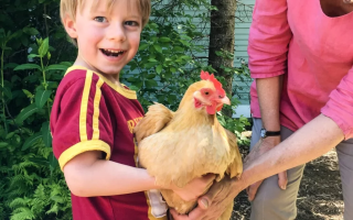 boy with chicken